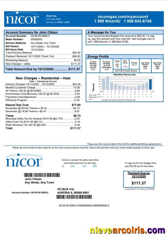 USA Illinois Nicor gas utility bill